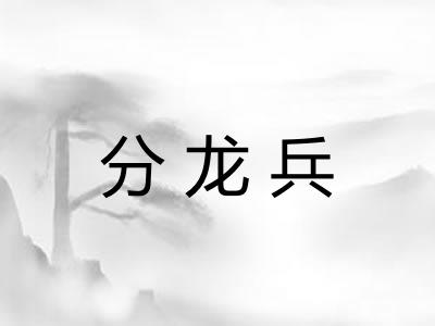 分龙兵