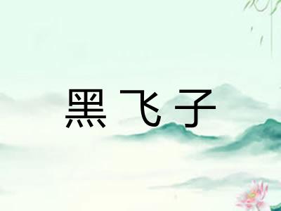 黑飞子
