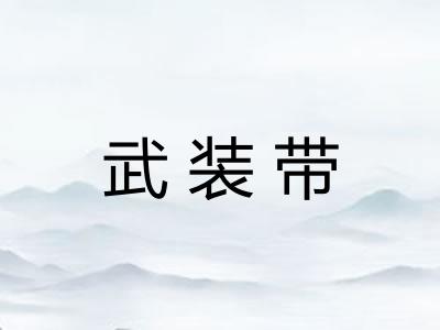 武装带 武装带