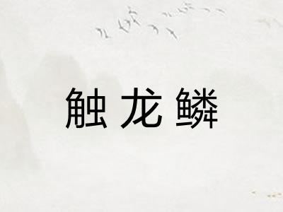 触龙鳞 触龙鳞