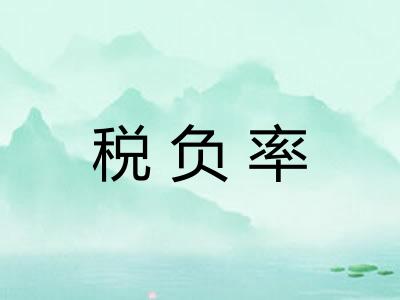 税负率 税负率