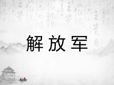 解放军 解放军