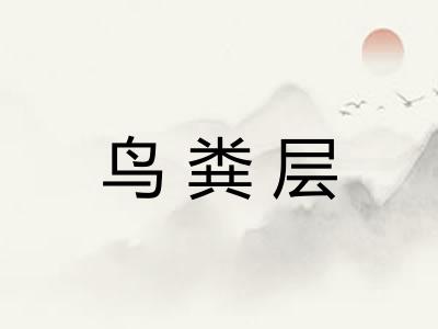 鸟粪层 鸟粪层