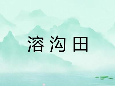 溶沟田 溶沟田