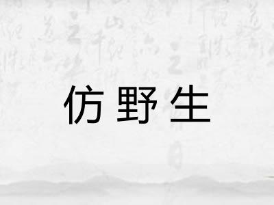 仿野生 仿野生