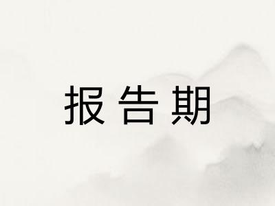 报告期 报告期