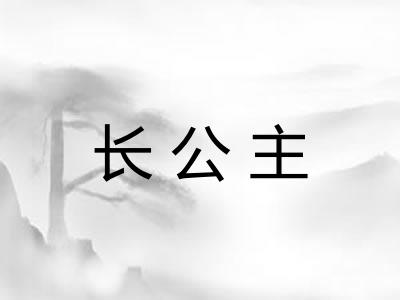 长公主 长公主