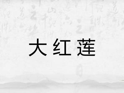 大红莲 大红莲
