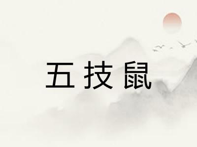 五技鼠