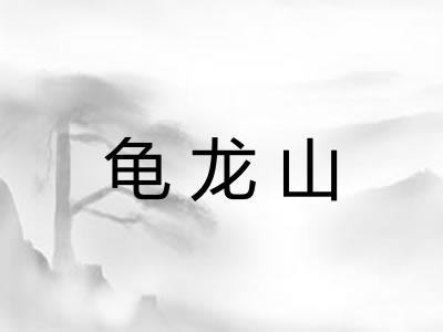 龟龙山 龟龙山