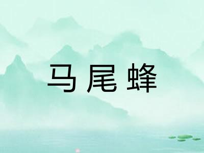 马尾蜂 马尾蜂