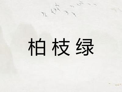柏枝绿 柏枝绿