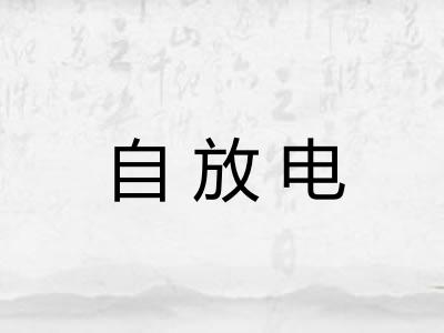 自放电 自放电
