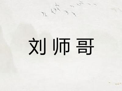 刘师哥 刘师哥