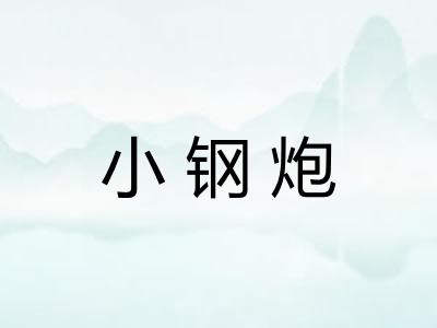 小钢炮 小钢炮