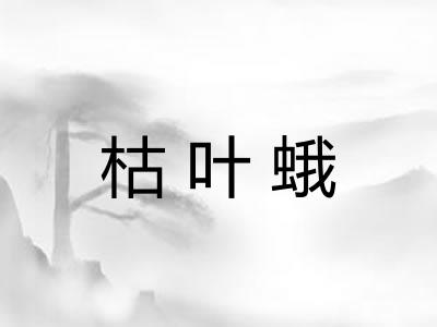 枯叶蛾