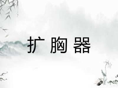 扩胸器 扩胸器