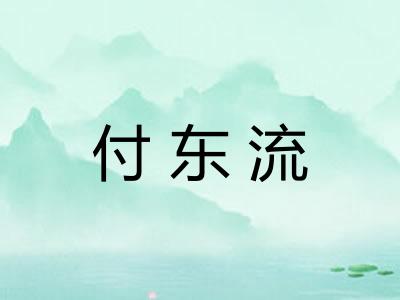 付东流 付东流