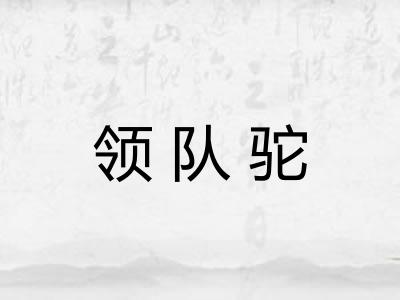 领队驼