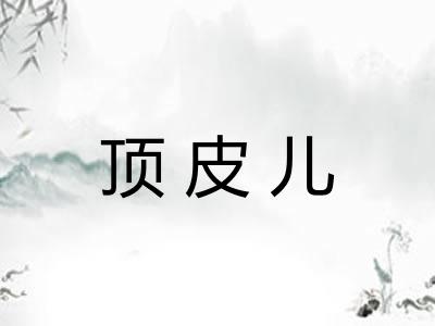 顶皮儿