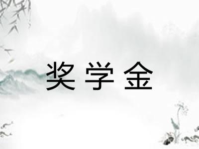 奖学金 奖学金