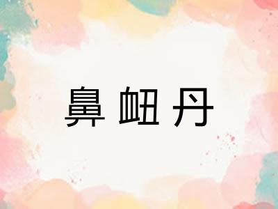 鼻衄丹 鼻衄丹