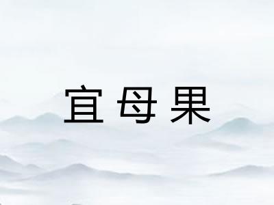 宜母果 宜母果