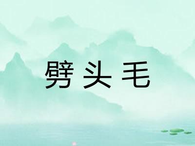 劈头毛 劈头毛