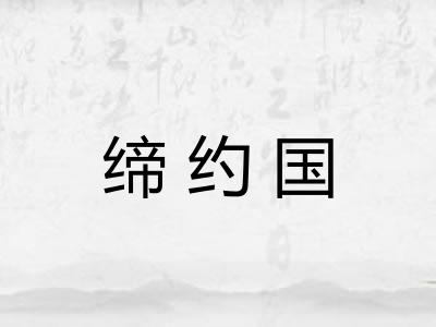 缔约国 缔约国