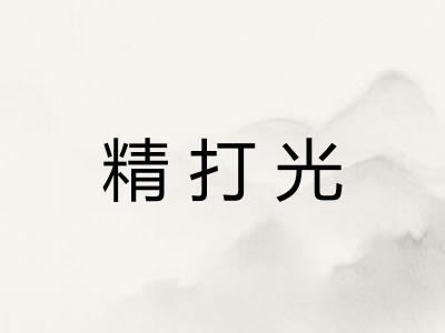 精打光