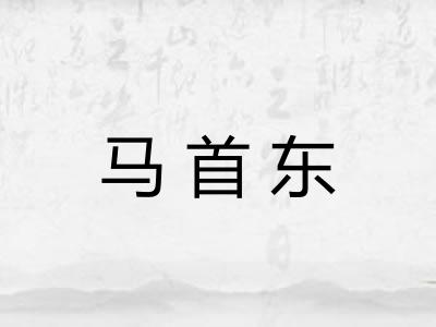 马首东 马首东