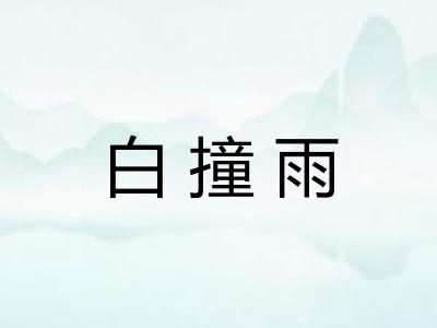 白撞雨 白撞雨