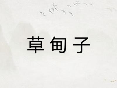 草甸子 草甸子