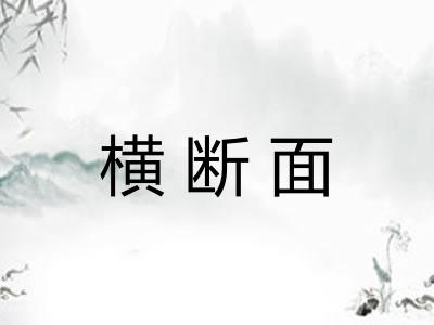 横断面