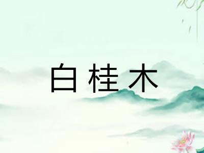 白桂木 白桂木