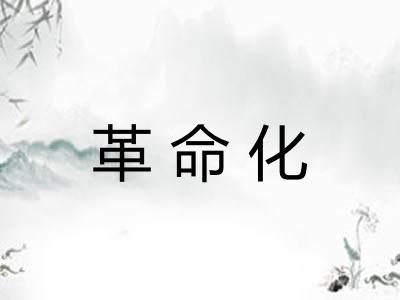 革命化