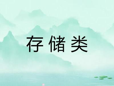 存储类