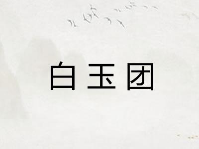 白玉团 白玉团