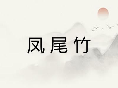 凤尾竹 凤尾竹