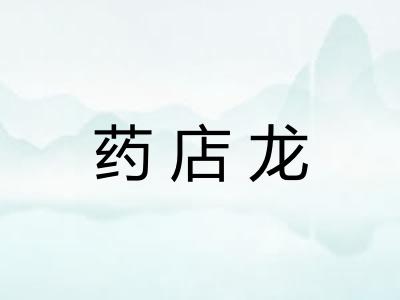 药店龙