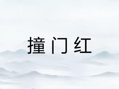 撞门红 撞门红