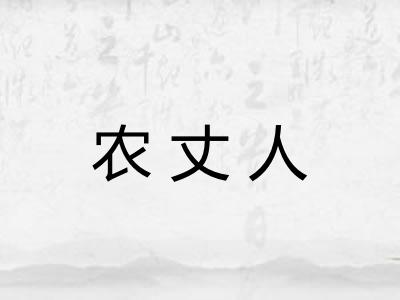 农丈人 农丈人