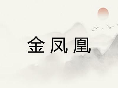 金凤凰 金凤凰