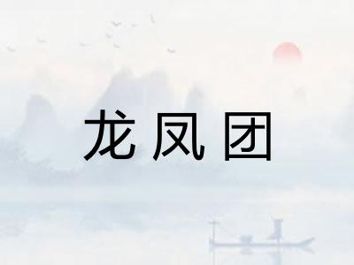 龙凤团 龙凤团