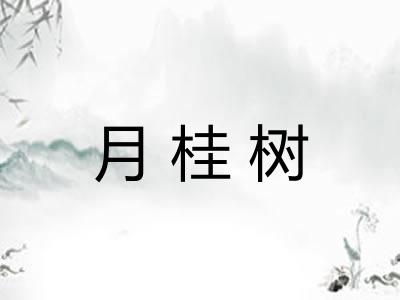 月桂树 月桂树