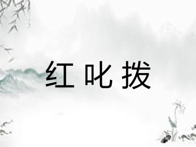 红叱拨 红叱拨