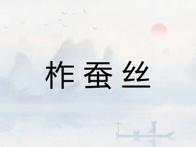 柞蚕丝 柞蚕丝