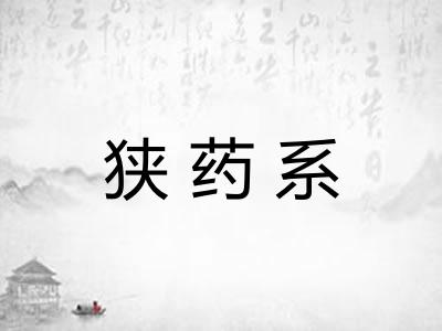 狭药系 狭药系