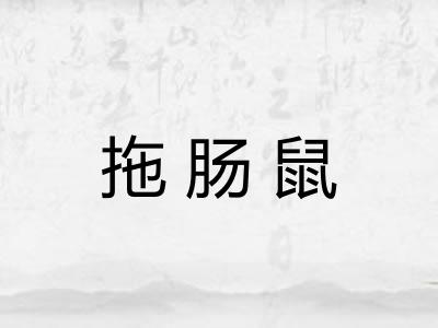 拖肠鼠 拖肠鼠