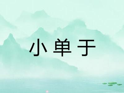 小单于 小单于